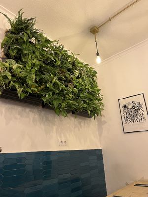   at La Oveja Negra in Madrid