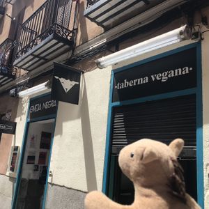   at La Oveja Negra in Madrid