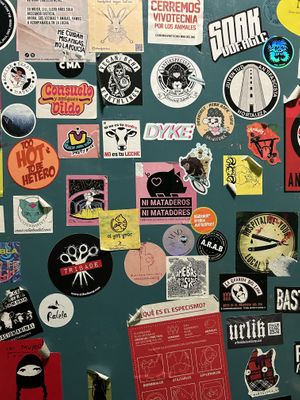   at La Oveja Negra in Madrid