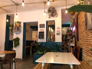  at La Oveja Negra in Madrid