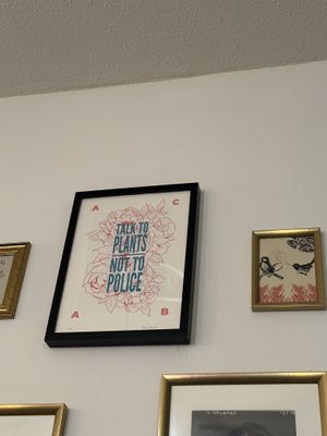   at La Oveja Negra in Madrid