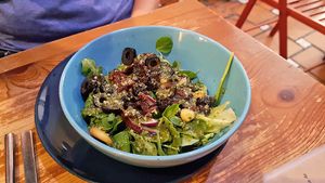 Salad of the day at La Oveja Negra in Madrid