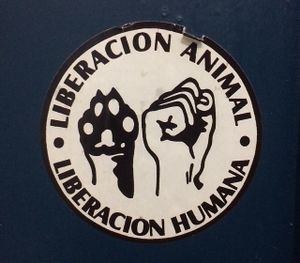 Stickers in the bathroom at La Oveja Negra in Madrid