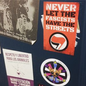 Covering the bookcase at La Oveja Negra in Madrid