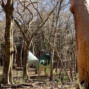  at Restaurant Array in Hakone