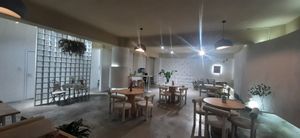  at Foody Vegan Experience Center  in Ulaanbaatar