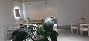  at Foody Vegan Experience Center  in Ulaanbaatar