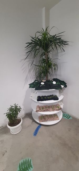  at Foody Vegan Experience Center  in Ulaanbaatar