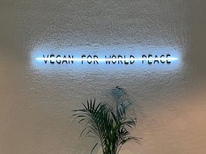  at Foody Vegan Experience Center  in Ulaanbaatar