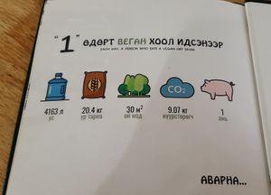  at Foody Vegan Experience Center  in Ulaanbaatar