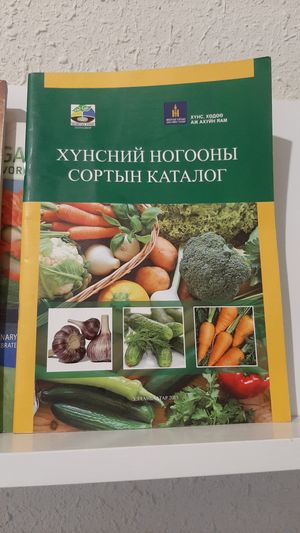  at Foody Vegan Experience Center  in Ulaanbaatar