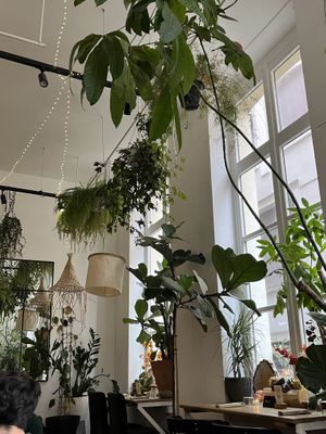 Intérieur   at La Wilderie in Lille