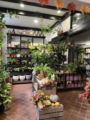 Intérieur   at La Wilderie in Lille