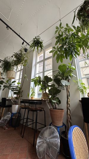 Intérieur   at La Wilderie in Lille