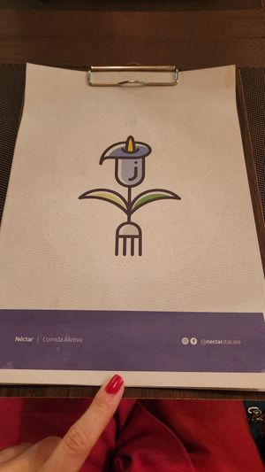 Cardapio at Néctar Comida Afetiva in Itacare
