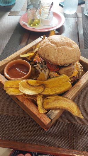 Nécplant at Néctar Comida Afetiva in Itacare