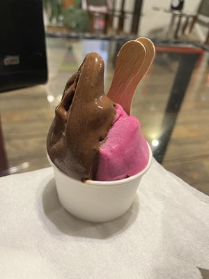 Vegan cacao y pithaya flavors  at Gelateria Deelite Italian Gelato in Puerto Viejo De Talamanca