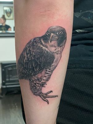  at Tattoo Artist Ike Greca in Seattle