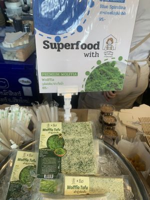 Wolffia tofu   at Grandma's Tofu - เต้าหู้โฮมเมดคุณย่า in Chiang Mai