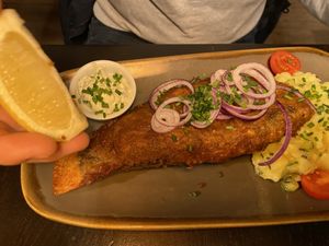   at Bodhi in Nuremberg