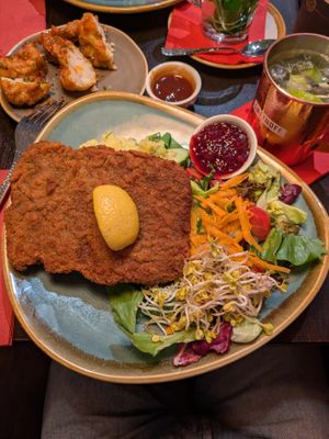 Schnitzel: 4/5

Came fast and was tasty but I've had better vegan Schnitzel. at Bodhi in Nuremberg
