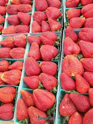  at Old Town Farmer's Market in Temecula