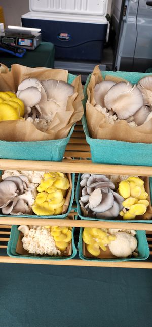 Beautiful mushrooms! at Old Town Farmer's Market in Temecula