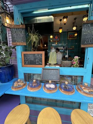   at Maya's Corner Cafe in Istanbul