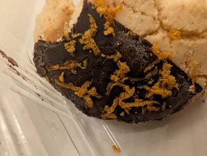 Mold served to me. at Maya's Corner Cafe in Istanbul