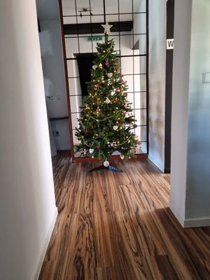 Christmas tree at Bystrožrút in Nitra