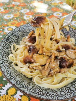 Mushroom tagliatellle at 4Bs (Alojamento Local) in Castro Verde