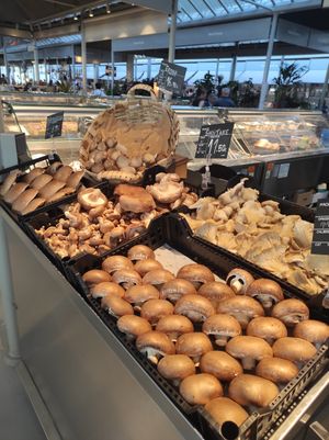 M at O Sítio Dos Cogumelos -  Mercado do Bolhão in Porto