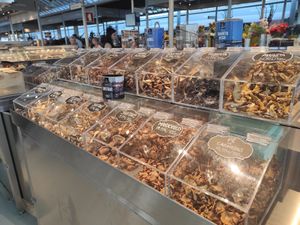 M at O Sítio Dos Cogumelos -  Mercado do Bolhão in Porto