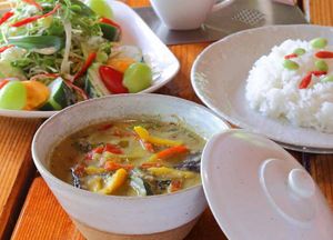 There is where beautiful is. Nature and vegan curry  at Tree House Terrace Cafe - テラスカフェ & ギャラリー ツリーハウス in Osaka