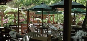   at Tree House Terrace Cafe - テラスカフェ & ギャラリー ツリーハウス in Osaka