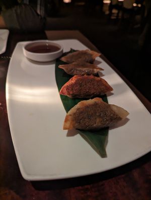 Mushroom pot stickers at Buddakan  in New York City