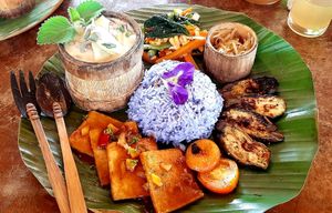 Surol at Daos Beach Bistro - Haruhay Eco Beach Tavern in Camiguin