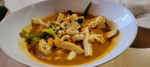 Massaman with tofu at Coolangatta Asian Cuisine in Coolangatta