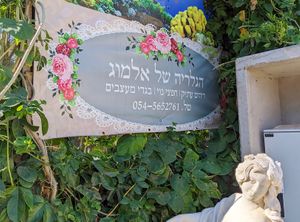  at Almog's Gallery in Neve Yamin