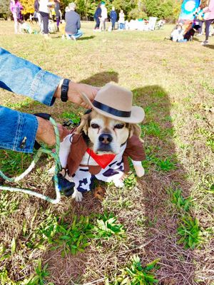  at Adventures, Networking & Volunteering for Vegans in Warwick