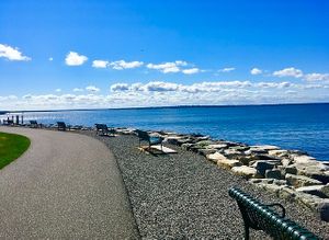 Colt State Park Community Plant Based / Vegan Picnic Potluck July 2023 at Adventures, Networking & Volunteering for Vegans in Warwick