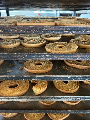  at Panificio Delle Mura in Altamura