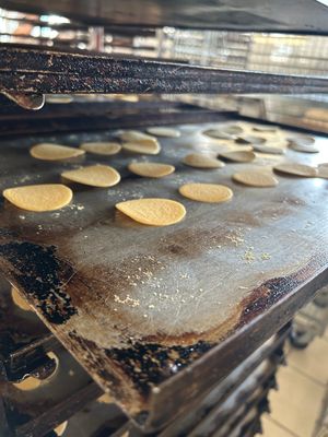  at Panificio Delle Mura in Altamura