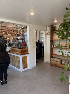   at Bodhi in Corvallis
