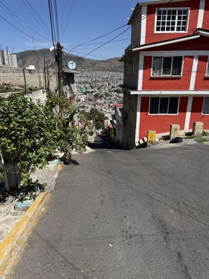   at Sabor Verde in Mexico City