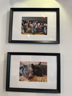 Team & pet pig pictures   at Pit'sa in Bergamo