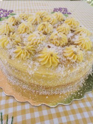 Vegan coco and sweat patato cake at BOLOTA in Castro Verde