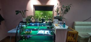  at Loving Hut - Baruun Durvun Zam in Ulaanbaatar