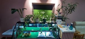  at Loving Hut - Baruun Durvun Zam in Ulaanbaatar