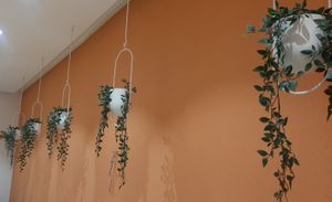  at Loving Hut - Baruun Durvun Zam in Ulaanbaatar